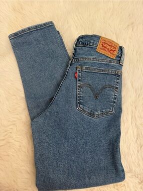 Levi's Wedgie Straight Jeans in Blue Denim